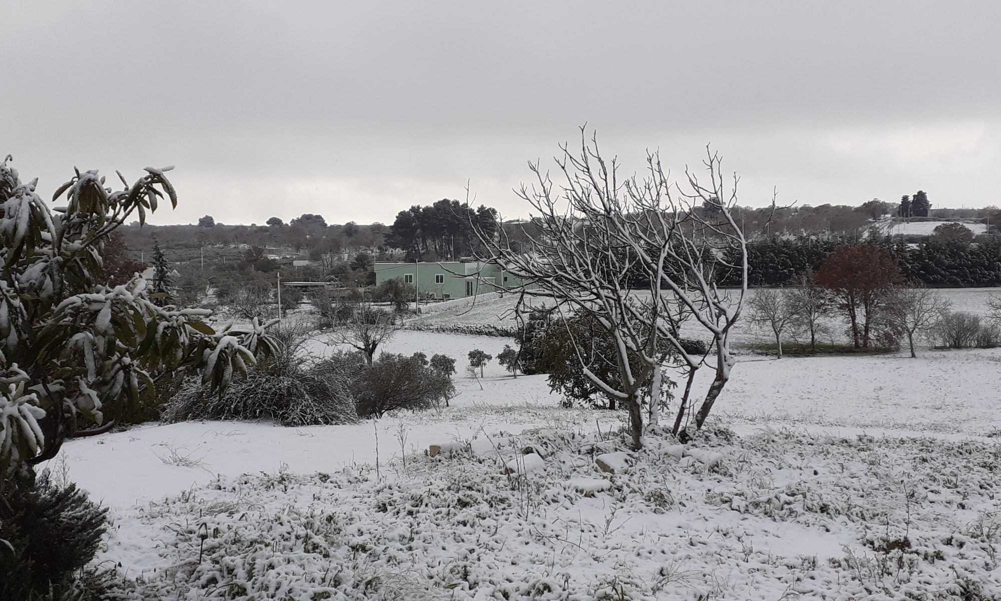 Trullo Puglian snow